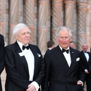 Le prince William serait, de son côté, moins ravi à l'idée de pardonner à son frère cadet.

Le duc de Cambridge, Sir David Attenborough, le prince de Galles et le duc de Sussex assistant à la première mondiale de Our Planet de Netflix, qui s'est tenue au Musée d'histoire naturelle, à Londres, au Royaume-Uni, le 4 avril 2019.  © Doug Peters/PA wire/ABACAPRESS.COM