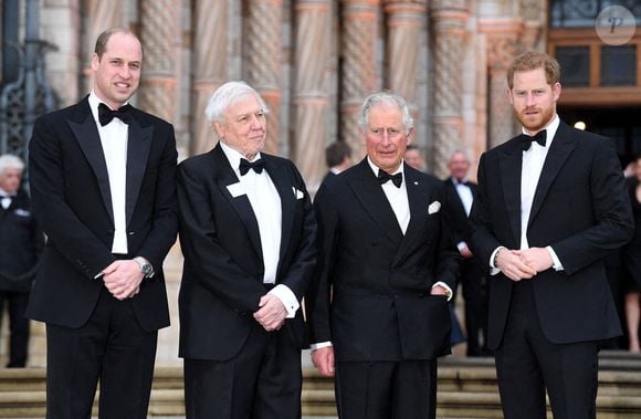 Le prince William serait, de son côté, moins ravi à l'idée de pardonner à son frère cadet.

Le duc de Cambridge, Sir David Attenborough, le prince de Galles et le duc de Sussex assistant à la première mondiale de Our Planet de Netflix, qui s'est tenue au Musée d'histoire naturelle, à Londres, au Royaume-Uni, le 4 avril 2019.  © Doug Peters/PA wire/ABACAPRESS.COM