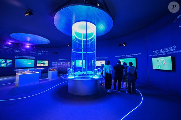 Visite inaugurale de "La Baleine", le temps de l'UNOC, la conférence de l'ONU sur les océans, en présence de Christian Estrosi, le maire de Nice, Olivier Poivre d’Arvor, l'ambassadeur pour les pôles et les enjeux maritimes au Ministère de l’Europe et des Affaires étrangères, Laurent Hottiaux, le nouveau préfet des Alpes-Maritimes, Ashok Adicéam, le délégué général de l'UNOC en charge du projet, Richard Chemla. l'adjoint délégué à la transition écologique et énergétique, à la santé et au bien-être, et Olivier Bettati, délégué général de la mission UNOC à la mairie de Nice, au Palais des expositions à Nice, le 2 juin 2025.
© Bruno Bebert/Bestimage