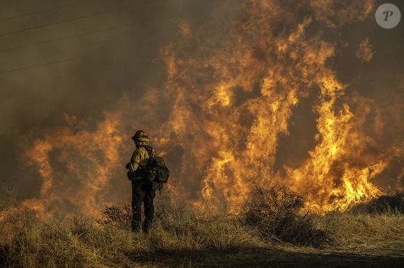 Los Angeles, Californie, Etats-Unis : 11 janvier 2025 : Flammes près d'une route de feu au-dessus de Mandeville Canyon pendant l'incendie de Palisades. (Crédit photo : © Mark Edward Harris/ZUMA Press Wire)