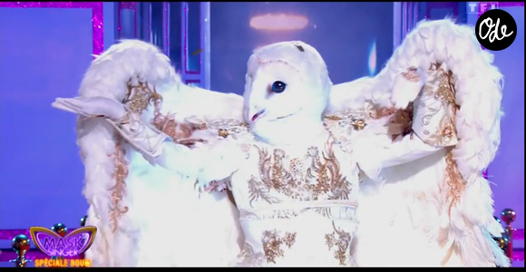 La Chouette dans Mask Singer - capture d'écran TF1