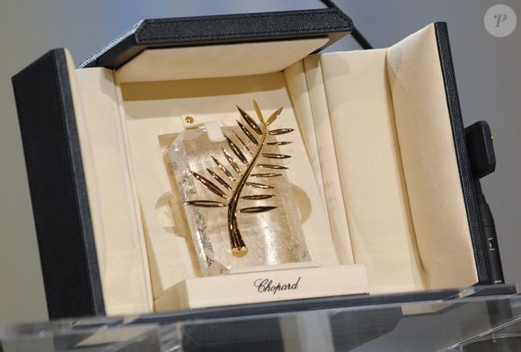 La Palme d'or est présentée lors de la cérémonie de clôture de la 60e édition du Festival de Cannes au Palais des festivals de Cannes, dans le sud de la France Photo by Hahn-Nebinger-Orban/ABACAPRESS.COM"