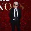 Karl Lagerfeld : Pourquoi ses héritiers pourraient ne jamais rien toucher ?