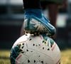 Ce retour à la terre était un projet qu'il nourrissait depuis de nombreuses années.

Un ancien joueur de football se reconvertit dans un autre domaine.