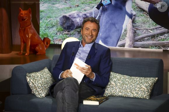 Exclusif - Bernard Montiel, sur plateau de la nouvelle émission "Animalement Vôtre" présentée par Bernard Montiel et diffusée le 9 novembre sur France 3, à Paris, France, le 13 octobre 2025. © Jack Tribeca/Bestimage