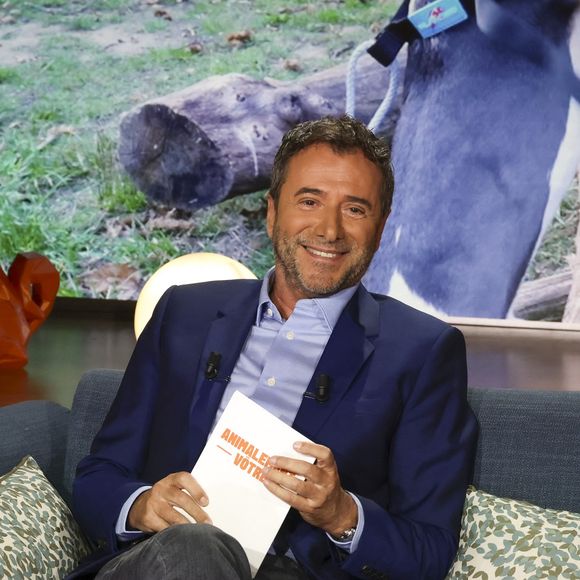 Exclusif - Bernard Montiel, sur plateau de la nouvelle émission "Animalement Vôtre" présentée par Bernard Montiel et diffusée le 9 novembre sur France 3, à Paris, France, le 13 octobre 2025. © Jack Tribeca/Bestimage