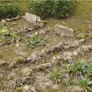 Exclusif - Extrait d'un entretien entre Cyril Viguier et Alain Delon dans lequel l'acteur fait part de son souhait d'être enterré avec ses chien à Douchy à côté de la chapelle.
Le 1er juin 2021. Agence / Bestimage