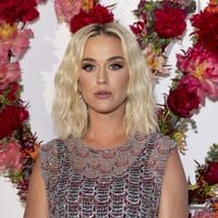 On ne l'avait pas vu venir ! Fraîchement séparée d'Orlando Bloom, Katy Perry aperçue en compagnie d’une personnalité célibataire depuis peu et très médiatisée...
