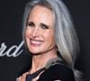 Andie MacDowell a une nouvelle fois captivé le Festival de Cannes avec son élégance naturelle.

Andie MacDowell au dîner du Trophée Chopard au Carlton Beach Club lors du 79ème Festival International du Film de Cannes. © Olivier Borde / Bestimage