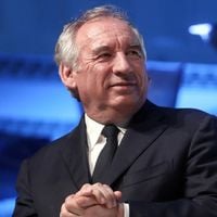 François Bayrou : Un patrimoine étonnant entre indemnités parlementaires, ferme et activité d'élevage