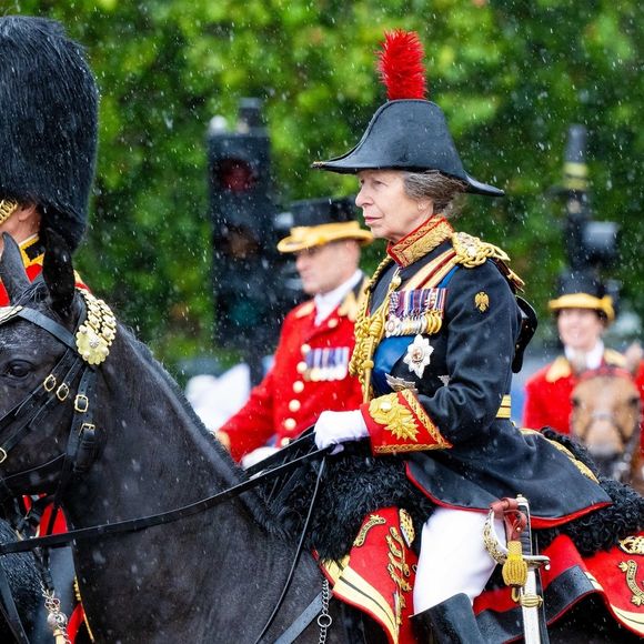 Le prince Edward, duc d'Edimbourg et La princesse Anne - Les membres de la famille royale britannique lors de la parade Trooping the Color à Londres, Royaume Uni, le 15 juin 2024. © Backgrid USA/Bestimage