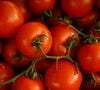 Le potassium présent dans la tomate favorise l’élimination du sodium et aide à maintenir une pression artérielle équilibrée.

Photo by Tom Hermans / Unsplash