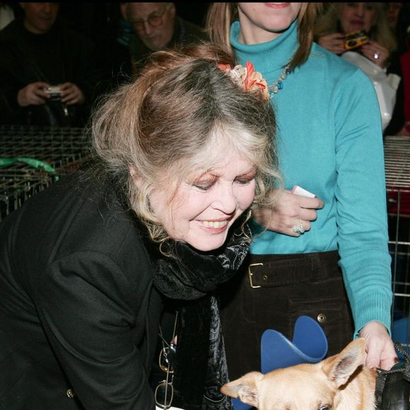 Brigitte Bardot à la Journée spéciale d'adoption à Levallois-Perret « Le Noël des animaux » organisé par la SPA
Photographe : Agence Bestimage
