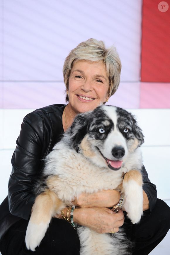 Exclusif - Véronique Jannot et sa chienne à l'enregistrement de l'émission Vivement dimanche au studio Gabriel, le 15 octobre 2023.

Photo : Guillaume Gaffiot / Bestimage