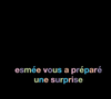 Louane dévoile la belle surprise qu'Esmée et elle ont préparé, à quelques jours de l'Eurovision 2025 - story Instagram, 7 mai