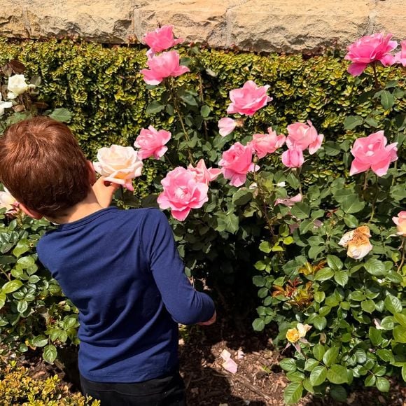 Le prince Harry et Meghan Markle protègent leurs enfants, Lilibet et Archie, de la médiatisation.