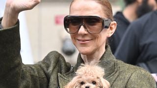 Céline Dion prend le chemin du retour avec ses jumeaux Eddy et Nelson : la diva a salué une dernière fois ses fans devant son palace