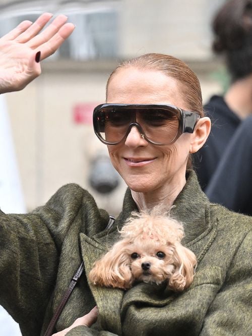 Céline Dion prend le chemin du retour avec ses jumeaux Eddy et Nelson : la diva a salué une dernière fois ses fans devant son palace