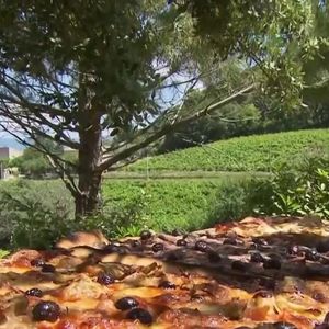 Michel Drucker dévoile des images de la maison de Mimie Mathy située à Vaison-la-Romaine dans l'émission Vivement dimanche le 9 février 2025 sur France 3.