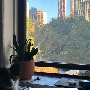 Tximista Lizarazu jouit d’un superbe appartement avec vue sur l’Empire State Building et le parc de Madison Square