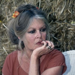 Brigitte Bardot au refuge de la Mare Auzou © Photo par APS-Medias/ABACAPRESS.COM