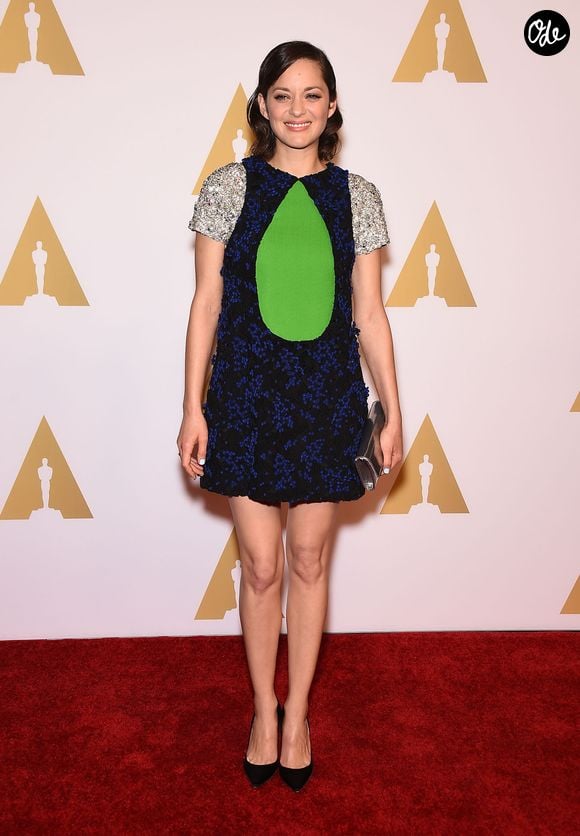 Marion Cotillard - Photocall lors de la réception pour les nominés aux Oscars à l'hôtel Hilton à Los Angeles, le 2 février 2015.

© Bestimage