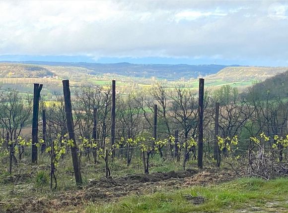 Il y a planté des vignes et produit du vin du même nom que la maison : domaine de la Taillade.

© Instagram Pierre Ferrari