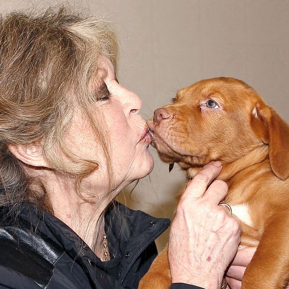 La légende du cinéma français Brigitte Bardot, devenue une fervente défenseuse des animaux, visite un centre de protection des animaux à Nice, dans le sud de la France, le 28 décembre 2005, où ont été amenés des chiens hongrois trouvés dans un camion clandestin. Photo by ABACAPRESS.COM