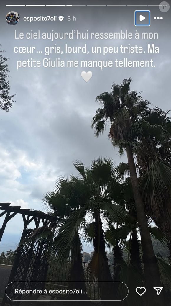Dimanche 24 août 2024, Olivia Esposito est de nouveau sorti de sa réserve pour faire part de son désarroi : "Le ciel aujourd'hui ressemble à mon coeur... Gris, lourd, un peu triste. Ma petite Giulia me manque tellement".