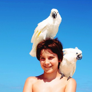 Diego, le fils de Lio