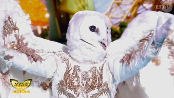 La chouette dans Mask Singer 9, prime du 22 mai - capture d'écran TF1