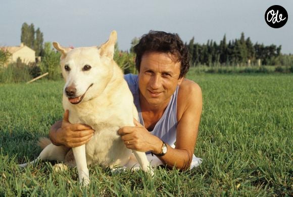 Archives - En France, en vacances dans les Alpilles, Michel DRUCKER et son chien
© Alain Canu via Bestimage # | 00611026