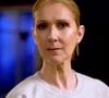 L'achat des billets pour Céline Dion ne se passe pas comme prévu, des fans partagent leur mécontentement