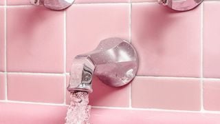 Les experts en psychologie sont unanimes : Ne pas se laver tous les jours ne signifie pas être paresseux