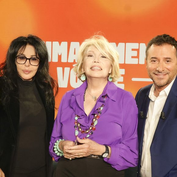 Exclusif - Yamina Benguigui, Amanda Lear et Bernard Montiel sur plateau de l'émission "Animalement Vôtre" présentée par B.Montiel et diffusée le 4 janvier 2026 sur France 3, à Paris, France, le 3 décembre 2025. © Jack Tribeca/Bestimage