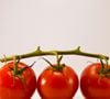 Une consommation régulière de tomates peut contribuer à une meilleure santé cardiovasculaire et aider à limiter l’hypertension.

Photo by Alex Ghizila / Unsplash