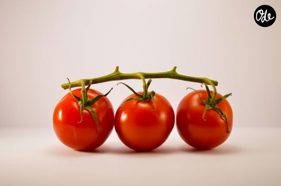 Une consommation régulière de tomates peut contribuer à une meilleure santé cardiovasculaire et aider à limiter l’hypertension.

Photo by Alex Ghizila / Unsplash