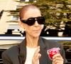 Mais si "l'effet Céline" dope indéniablement les réservations, une autre personnalité inattendue vient de lui voler la vedette, provoquant une véritable flambée des prix.

Celine Dion salue ses fans à la sortie de l'hôtel Royal Monceau avant de se diriger vers la salle Plenitude Arena où elle débutera sa série de concerts parisiens le 12 septembre 2026. © Christophe Aubert / Bestimage