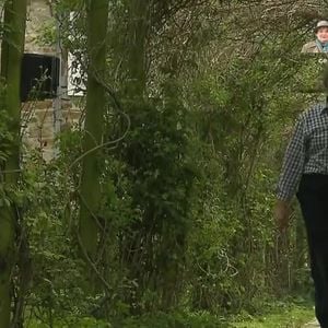 Pierre Perret dans sa maison de Nangis, en Seine-et-Marne, son havre de paix avec piscine. Les images ont été diffusés dans "Vivement dimanche" sur France 3 le 16 novembre 2025.