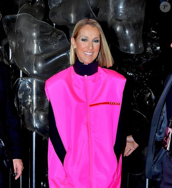 Céline Dion prend la pose pour les photographes après son show au Barclay's Center à New York, le 5 mars 2020.
Backgrid USA / Bestimage