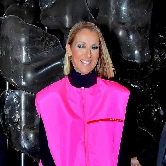 Céline Dion prend la pose pour les photographes après son show au Barclay's Center à New York, le 5 mars 2020.
Backgrid USA / Bestimage