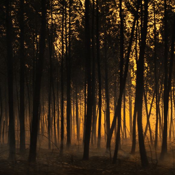 Feu de forêt en Gironde, les sapeurs pompiers sur tous les fronts - Incendie en Gironde : 220 000 personnes évacuées depuis mercredi, 42 000 hectares ravagés.Le 23 juillet 2026 MPP / Bestimage
