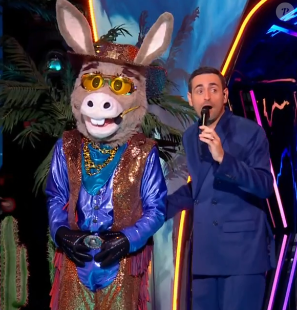 L'Âne dans Mask Singer, prime du 22 mai - capture d'écran TF1