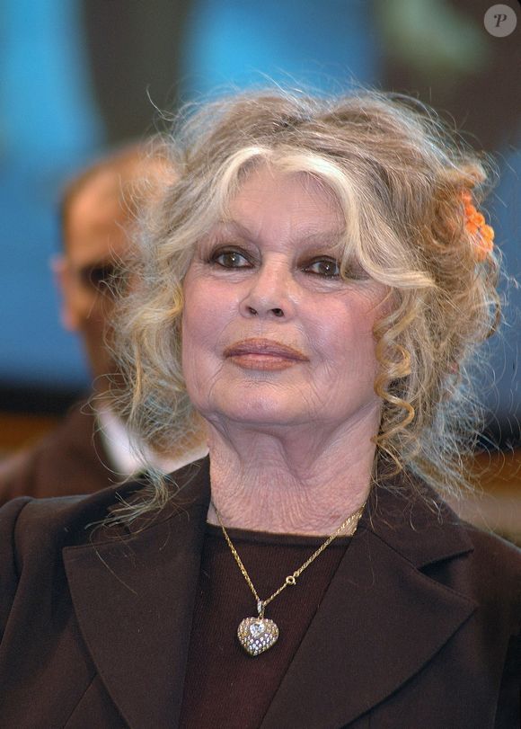 Archives - Brigitte Bardot le 1er juin 2011 à Paris. Denis Guignebourg / Bestimage