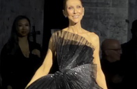 Images du concert de Céline Dion Instagram @Plenitude Arena