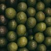 Vous ne rangez sans doute pas vos avocats au bon endroit : voici où les placer pour une chair parfaite