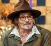 Johnny Depp possède un vaste domaine au Plan-de-la-Tour, dans le Var, qu’il avait acheté avec Vanessa Paradis.

Johnny Depp assiste à la première de « Modi », le film qu'il a réalisé et dans lequel il joue également, à Buenos Aires, en Argentine.
