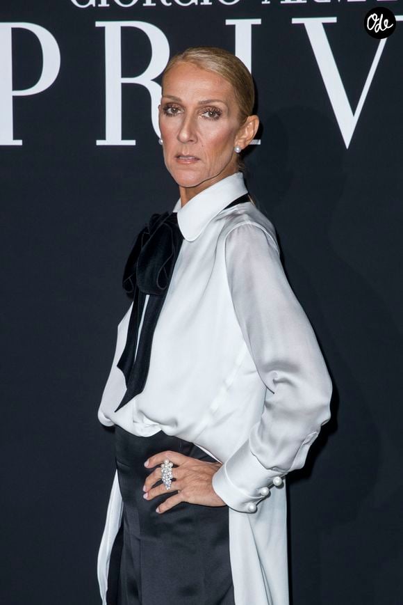 Il s'agit d'une belle surprise pour son public.

Celine Dion au photocall du défilé de mode Haute-Couture printemps-été 2019 "Giorgio Armani Prive Haute Couture"  à Paris. Le 22 janvier 2019
© Olivier Borde / Bestimage