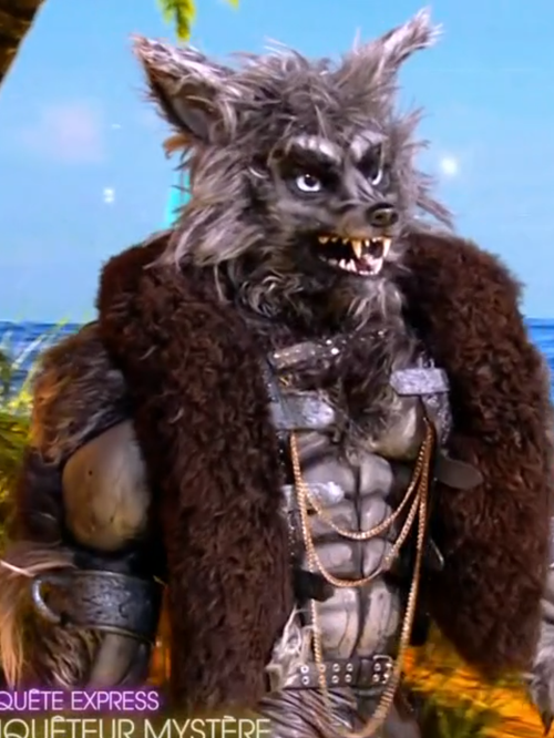 Mask Singer 9 : le Loup-garou retire son masque, un ancien gagnant de la Nouvelle Star se cachait derrière ce costume