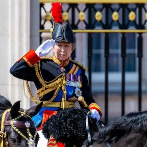 La princesse Anne et Les membres de la famille royale britannique arrivent à Buckingham Palace pour la cérémonie Trooping the Colour à Londres, le 14 juin 2025. © Backgrid / Bestimage